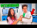 SALVIAMO ANIMALI PER 24 ORE COME VETERINARI!