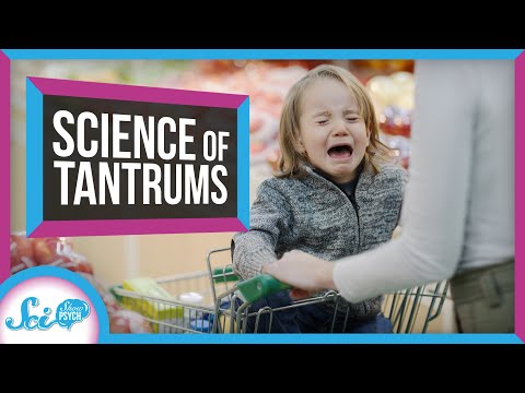 Video: About Children's Tantrums