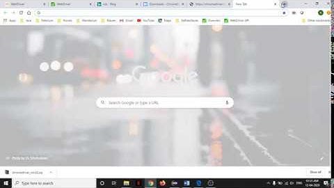 19. Selenium GetPageSource