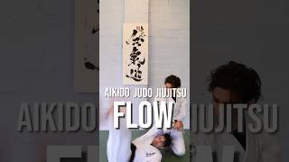 Aikido Judo Jiujitsu Flow! 🏄‍♂️ #aikido #judo #jiujitsu