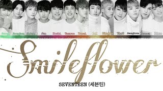 Seventeen   Smile Flower  indo Sub S  Color Coded Indenghanrom