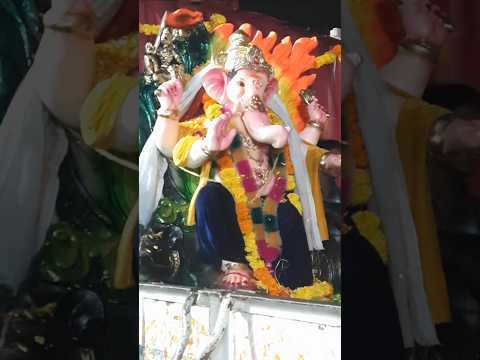 Ganesh chaturthi in Hyderabad #ganesh #ganeshchaturthi #vinayakachavithi #shorts