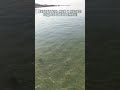Море В Одессе 29.08.2025 – Пляжи, Вода, Погода Сегодня, Отдых У Моря, Лето В Одессе 🌞🌊2