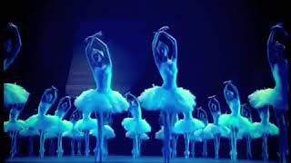 #SwanLake Swan Lake