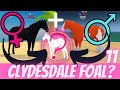 Found my Clydesdale stallion a girlfriend! A PURE black Mustang mare! Wild Horse Islands Ep11