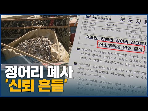 정어리 폐사, 빈산소수괴 발생 없었다?