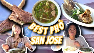 ULTIMATE VIET FOOD TOUR in San Jose CA Part 3: BEST PHO EDITION | Phở Papa | Phở Đào | Phở Hà Nội