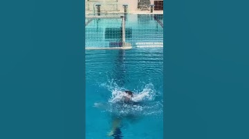 How to play beer pong next level