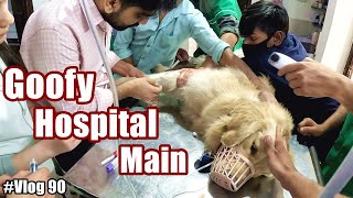 My Dog Admitted To Hospital 😭 Serious | Kyu Pahuncha Goofy Hospital Main?