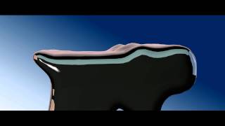 RealFlow Test
