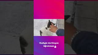 Deprem Bölgesindeki Bir Öğretmen Kediyle Vedalaşıyor