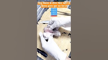 Real female Reproductive system #shortvideo #shots