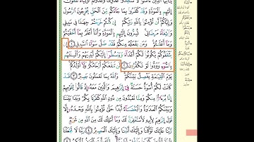 حفظ سورة الممتحنة مكرر آية 2