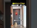 猫のジャンプ力は体長の5倍・約1.5~2m