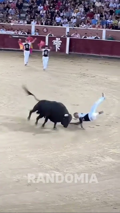 several people were hit by bull horns 😱 #short #wild bull #bullfighter #reckless‎‎ action