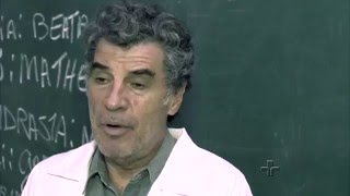 Metrópolis Uma Noite Não É Nada