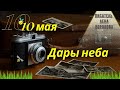10.5 - Дары Неба - 2021/Школа Ангелов/Лена Воронова