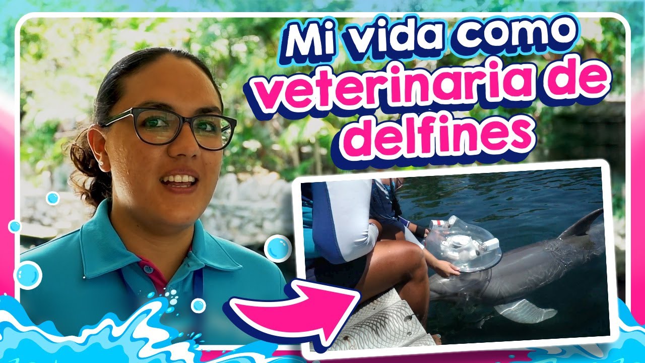 Ser veterinario: Amor y vocación por el bienestar animal l Delphinus ...