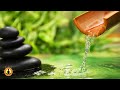 🔴 Relaxing Music 24/7, Sleep Music, Stress Relief Music, Spa, Meditation, Yoga, Zen, Sleeping Music