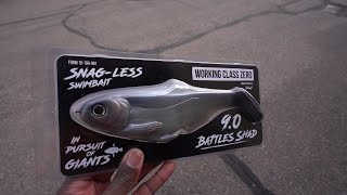 The Best Weedless Soft Swimbait On The Market?! Bait Overview! screenshot 1