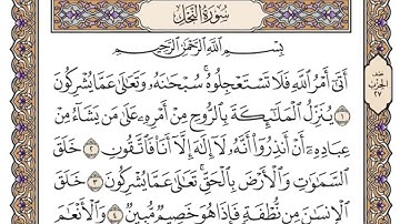 سورة النحل | القارئ الشيخ: محمد أيوب رحمه الله