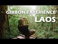 GIBBON EXPERIENCE - WORLDS HIGHEST TREE HOUSE