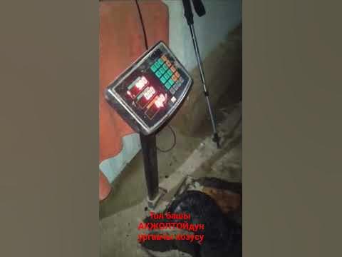 Арашан - YouTube