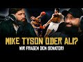 TYSON oder ALI? 🤯 WAS sagt SENAD GASHI? 🥊 | SINAN-G STREAM HIGHLIGHTS