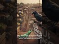 Smart birdSmart lizard A story of a lizard and a crow#storytelling #folktales #stories #viralshorts