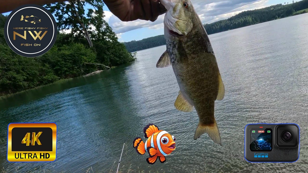 Bass Fishing – Swinging 4 Smallies – Henry Hagg Lake