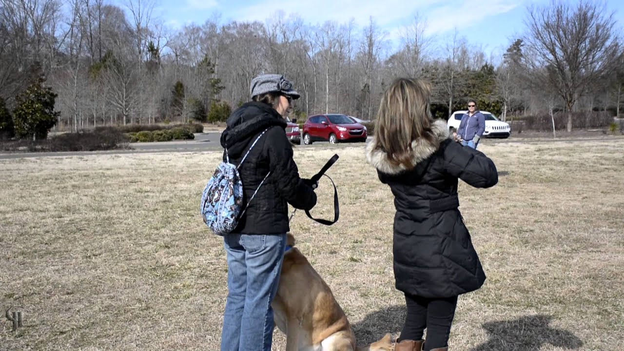 Training Your Best Friend - Christie Fernandez