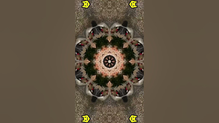 July 28, 2024 | Buy Osmo, I’ll Cook For You | @NickDiGiovanni | #kaleidoscope  #trendingshorts