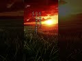 僕は何のために生きてるんだろう。人生ってそんなに楽しい?。#存在意義 #存在証明