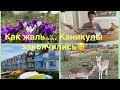 Злостные нарушители/Море/Закончились каникулы/Творчество с Лукой/Ремонт и фитнес-марафон