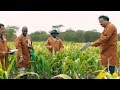 Cgiar feeding our future