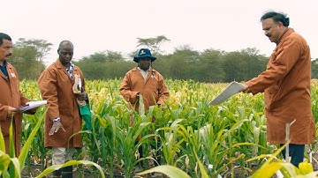 CGIAR: Feeding our future