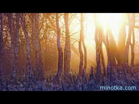 Весна. Встречаем дружно