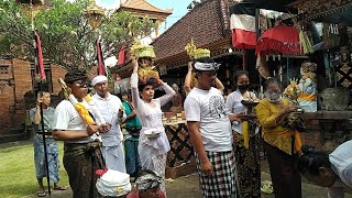 Download Lagu KERAUHAN KARENA SALAH WASTRA SAAT NGELINGGIHIN IDA BETARA MP3 Download Lagu KERAUHAN KARENA SALAH WASTRA SAAT NGELINGGIHIN IDA BETARA MP3