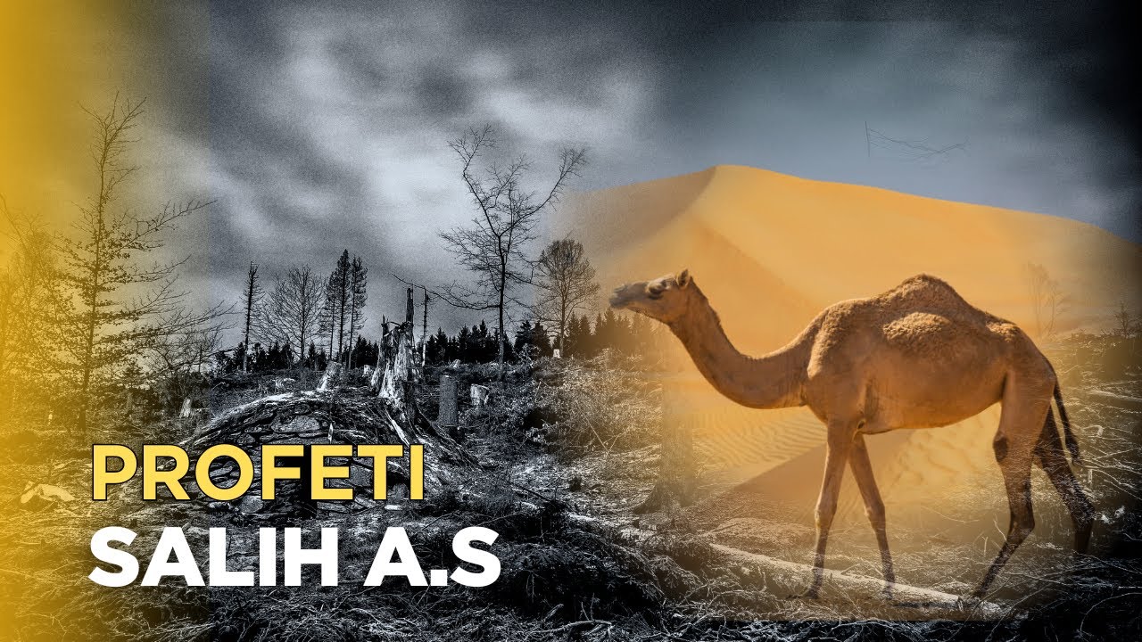 Historia e profetit Salih a.s me devene dhe denimi i popullit te tij