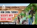 How China Reclaimed Inner Mongolia's Deserts: From Sand Dunes To Green Oases | CNA Correspondent