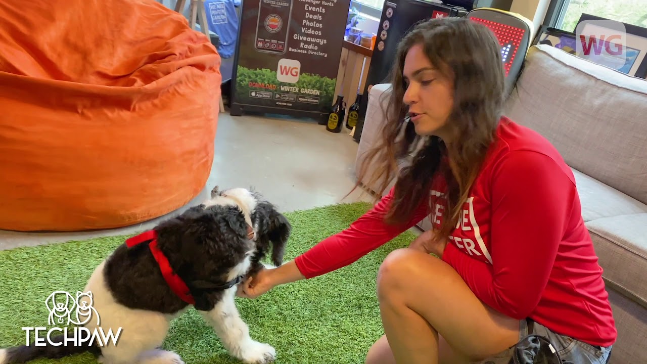 Heather Fox, Positive Reinforcement Dog Trainer-Woof Wednesday Episode 6