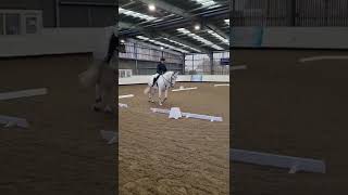 Reaseheath dressage Intro C Moya