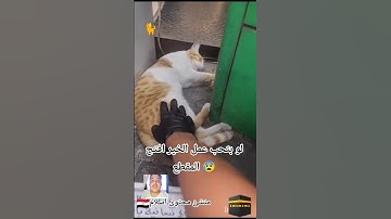 #اكتب_شي_تؤجر_عليه #اكسبلور #قرآن #تلاوة_خاشعة #تلاوة_هادئة #راحة_نفسية #الريتش_في_ذمة_الله #فاعل