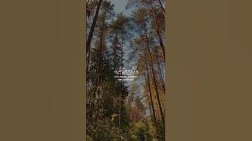 استمع لحظات تنفعك يوم القيامة...❤️ وتجهز لرمضان 🌙 | القرآن الكريم ( شُفَيَعٍگ يَۆم آلُقيَآمة )