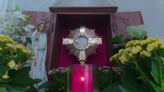 Live-Eucharistic Adoration from 3ltv Vienna, Austria
