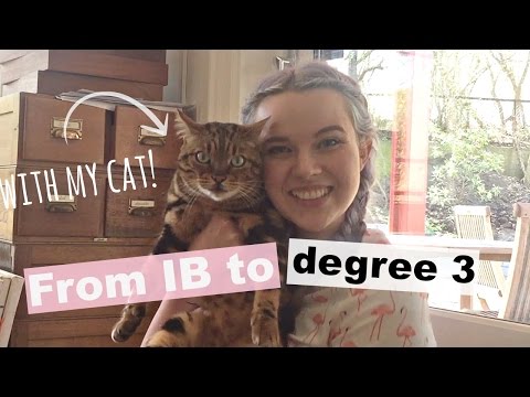 My Education This Far | 2 Degrees At 21 | Law School?!