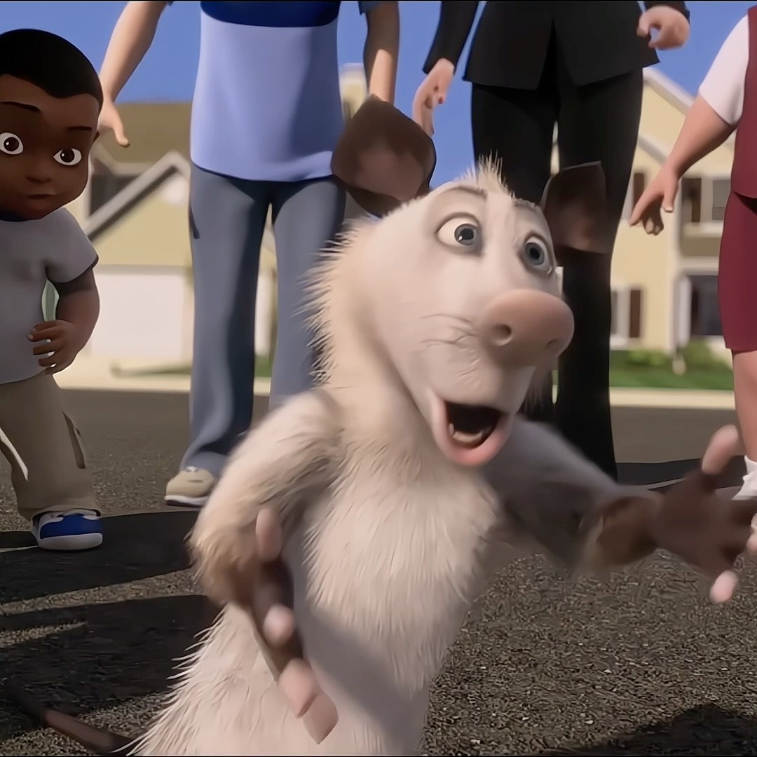 ESSE GAMBÁ MERECE UM OSCAR #shorts