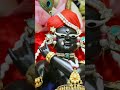 Aulai Sandarshan of Sri Radha Raman Dev Ji @ Vrindavan#07.06.2026# shorts