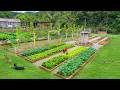 Amazing Vegetable Garden Model | Building Beautiful Beds To Grow Fresh Greens