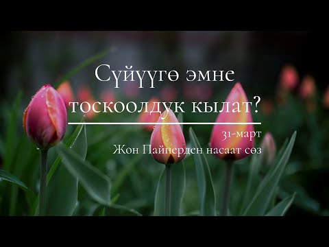 Video: Сүйүүгө болгон көз карандылыктан кантип арылууга болот